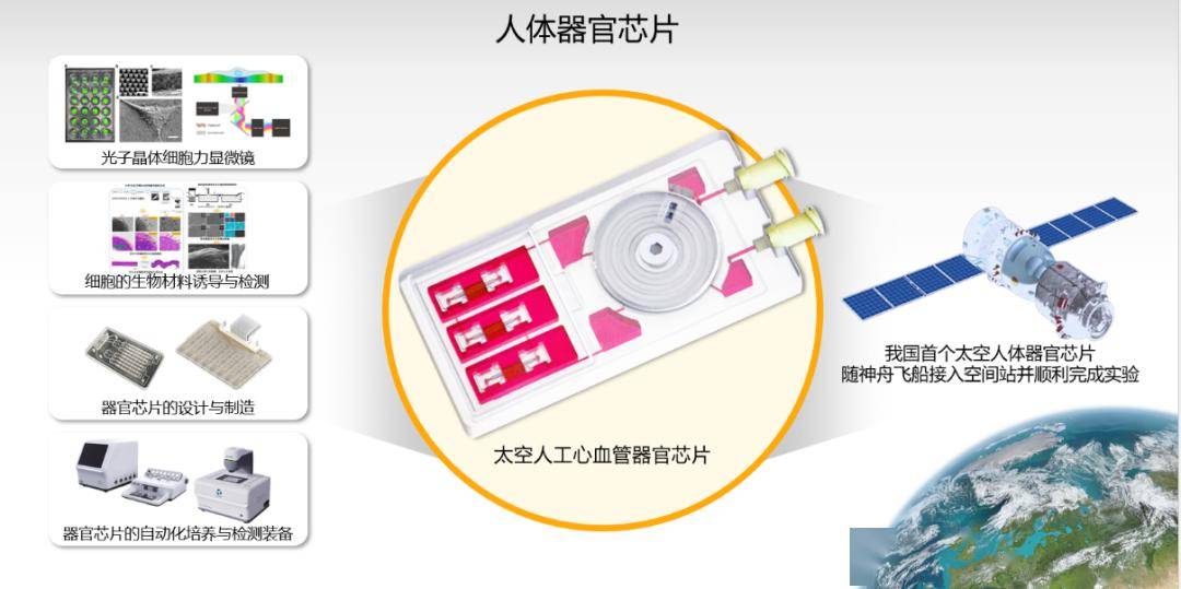 科技前沿引领未来医学发展，人体芯片最新新闻