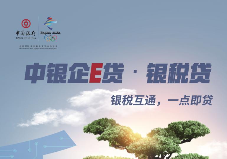 e国税下载指南，操作指南与步骤解析