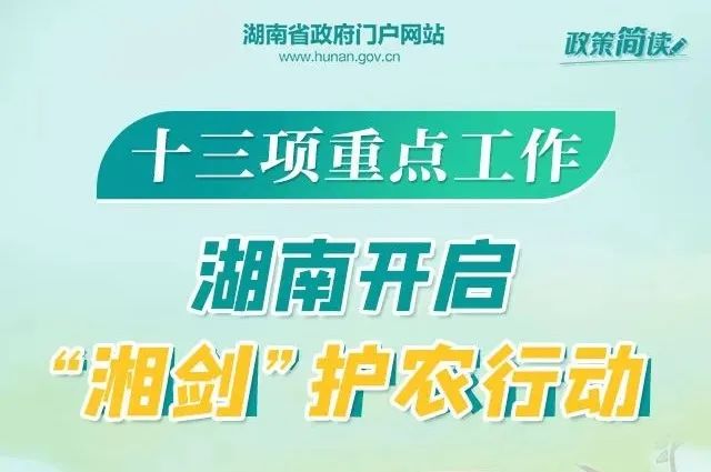 鞋业机修电工最新招聘，高效生产线关键人才的招募与培养