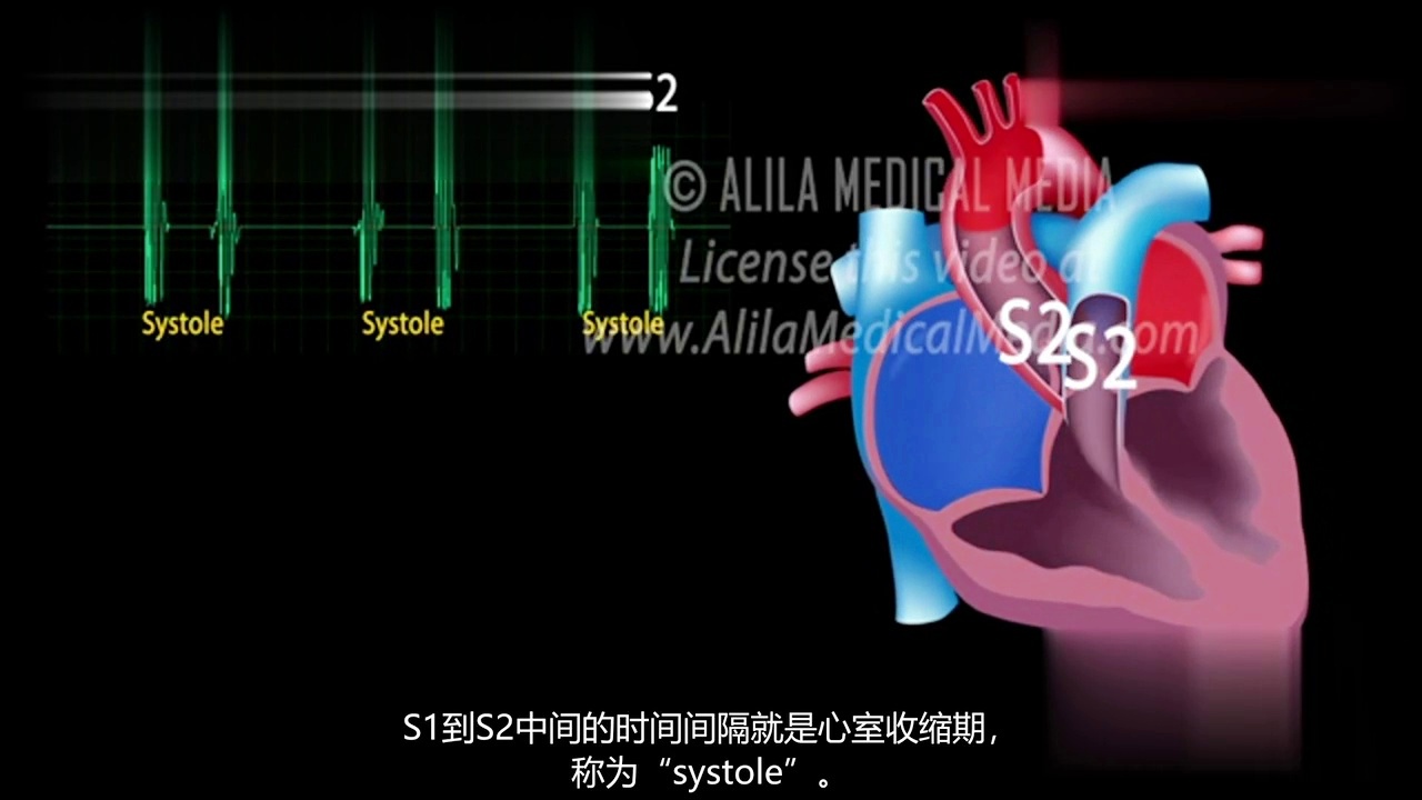 心脏杂音下载，揭秘心脏健康之秘