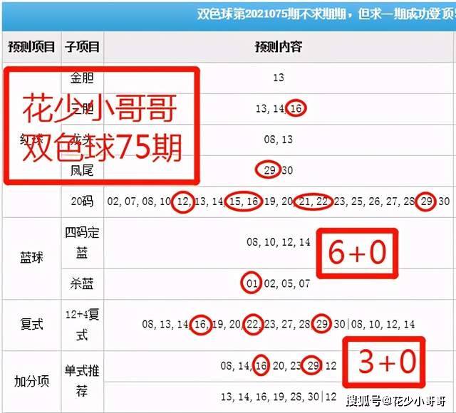 白小姐今晚特马期期准六,经典说明解析_T74.282