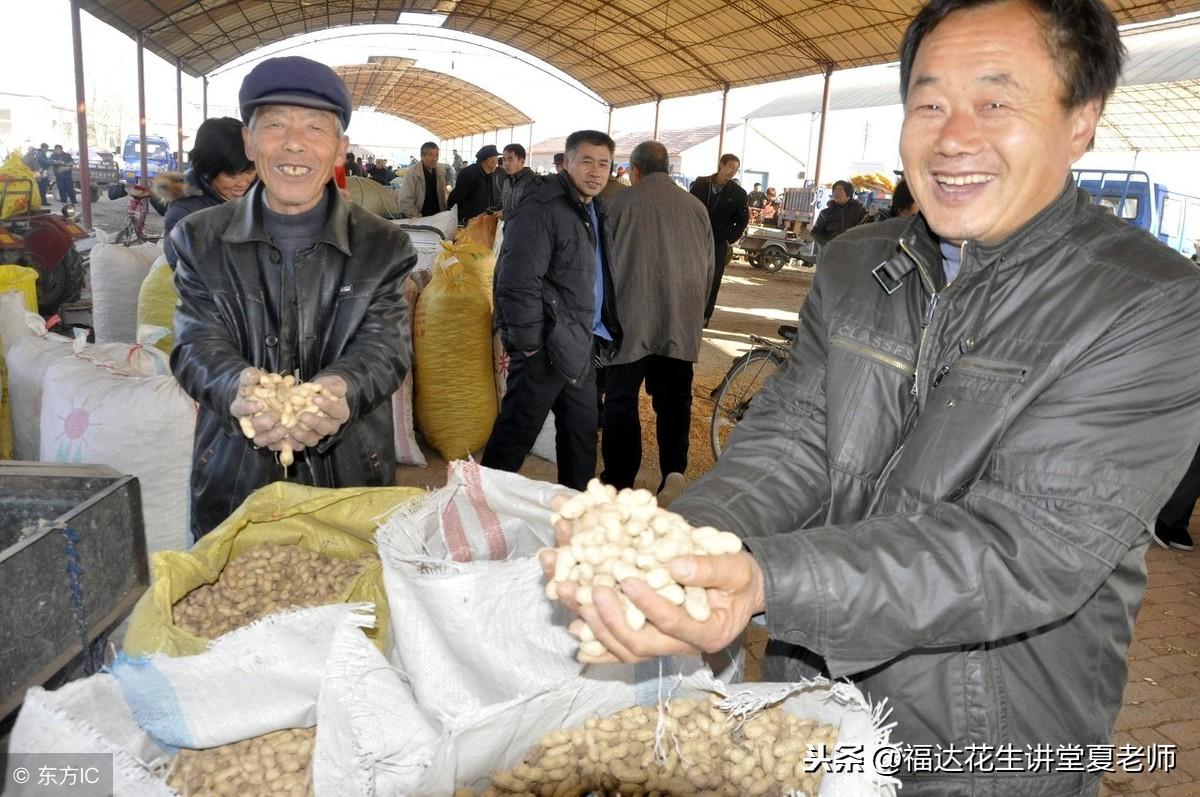 滦县花生米价格动态分析，最新行情与趋势展望