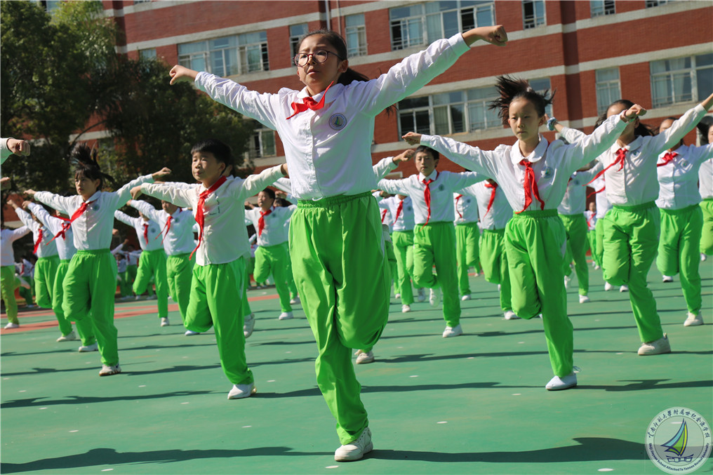 小学全新广播体操，活力与健康同步的旋律