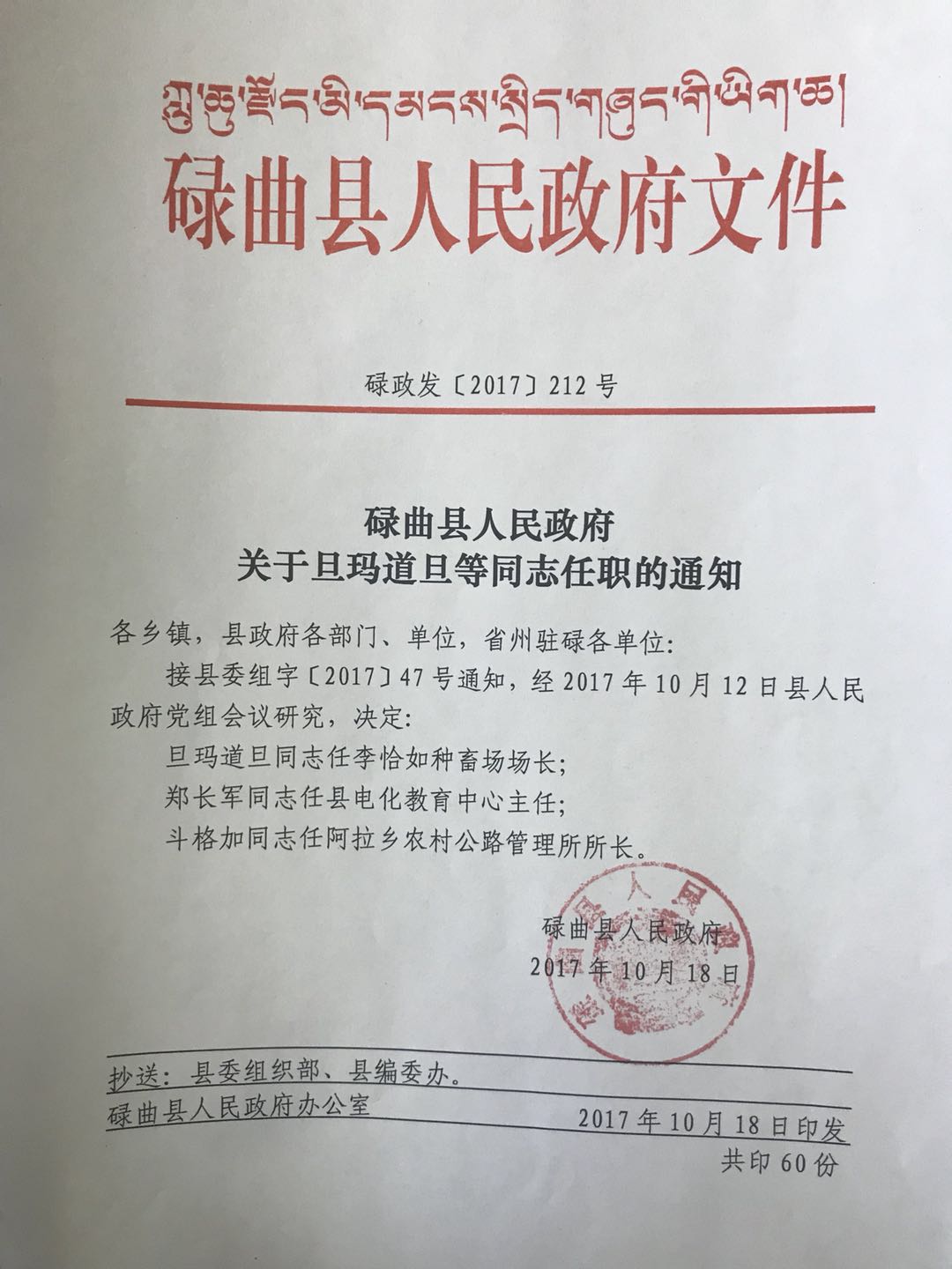 绒嘎居委会人事任命重塑社区领导力量新篇章