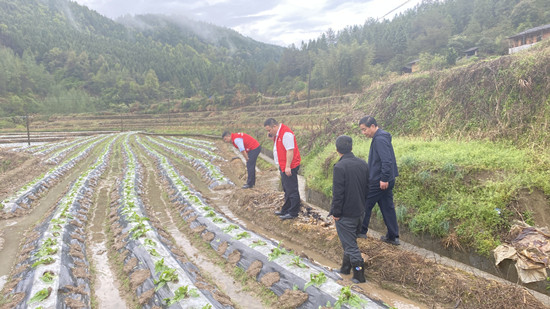 雹水乡新项目，地方发展璀璨明珠引领未来