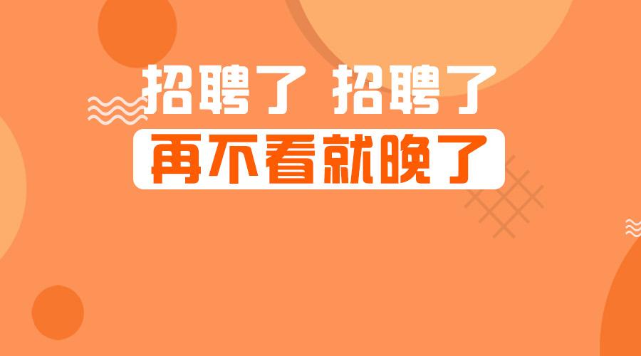 长沙招聘网最新动态深度解析，求职招聘趋势一网打尽