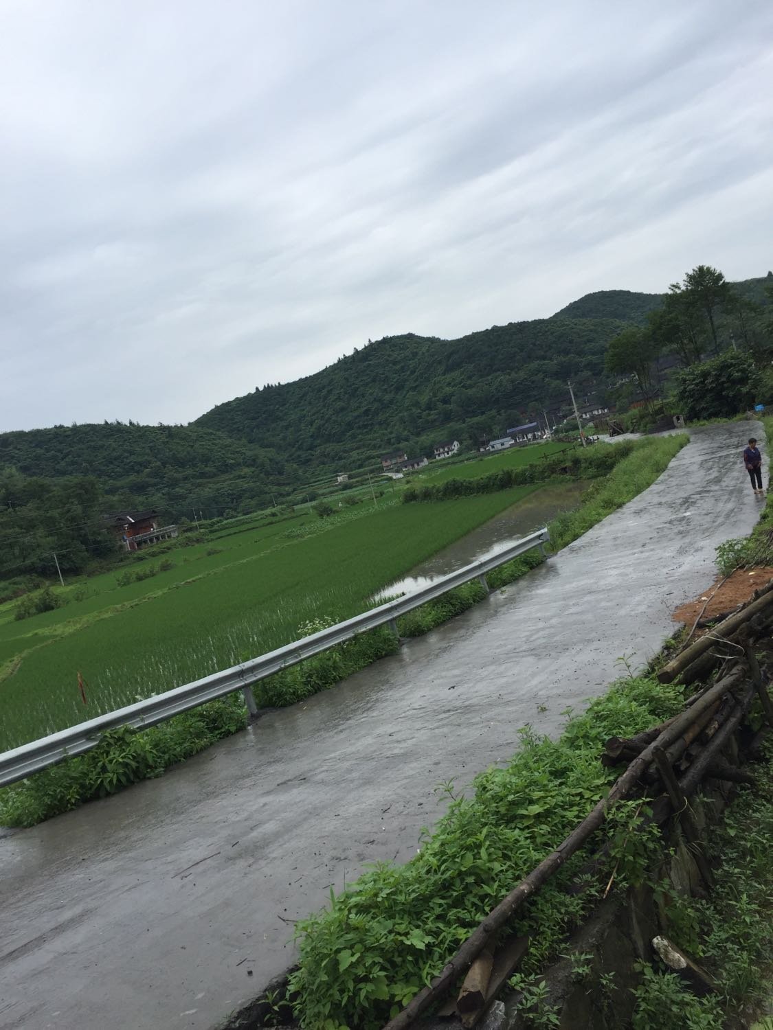 夏里乡天气预报更新通知