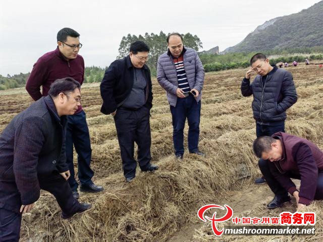 灵川县农业农村局最新动态报道