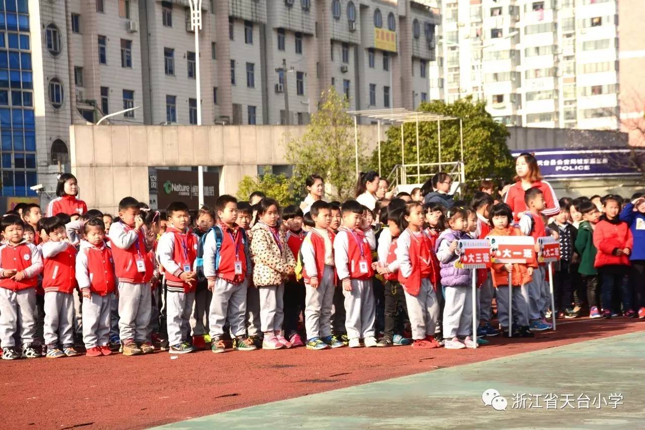 天台县小学最新动态报道