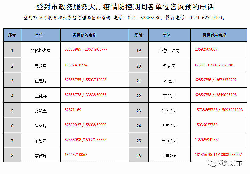 登封市政务服务局最新项目数据解析与展望