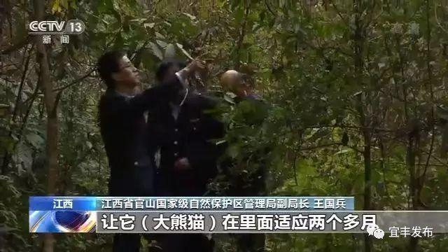 宜丰县农业农村局新项目推动农业现代化助力乡村振兴