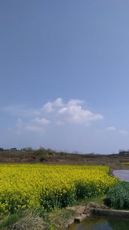 高埠镇天气预报更新通知