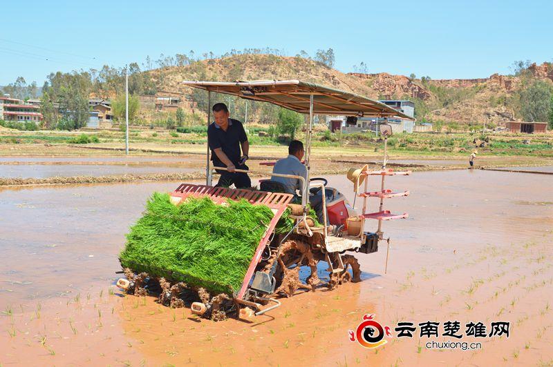 新华区农业农村局，乡村振兴与农业现代化同步推进最新消息发布