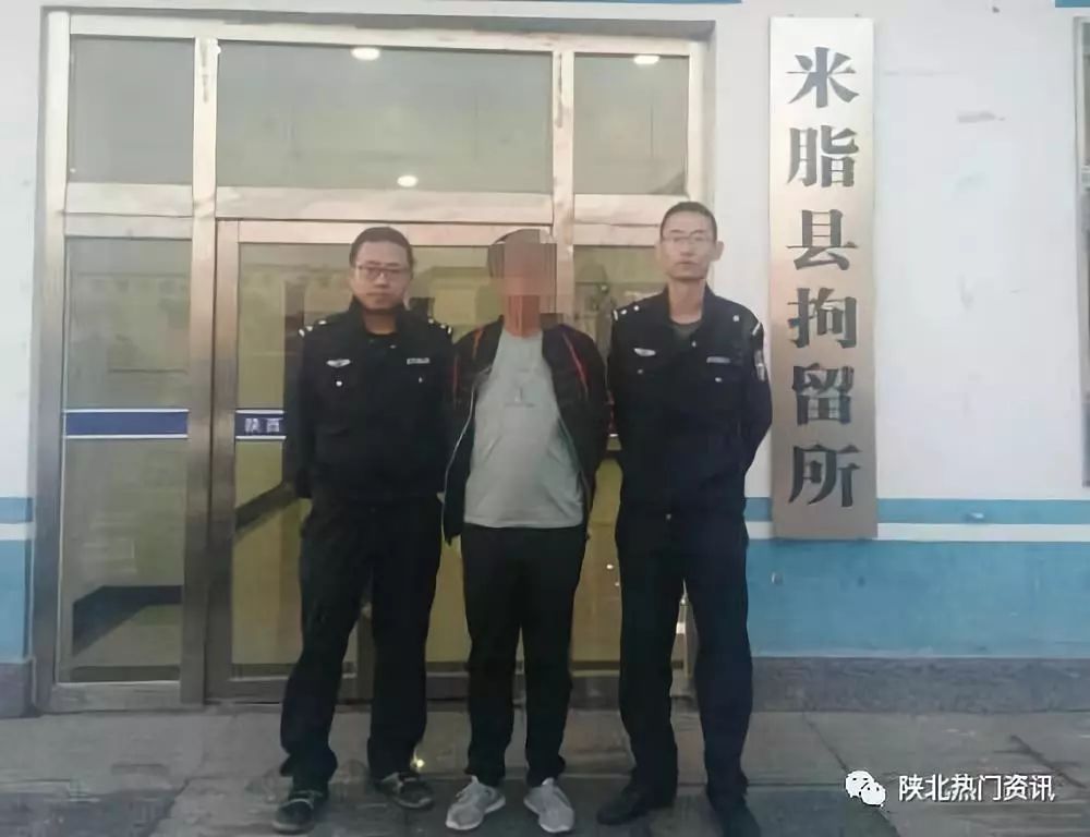 米脂县图书馆人事任命揭晓，文化事业迎新篇章