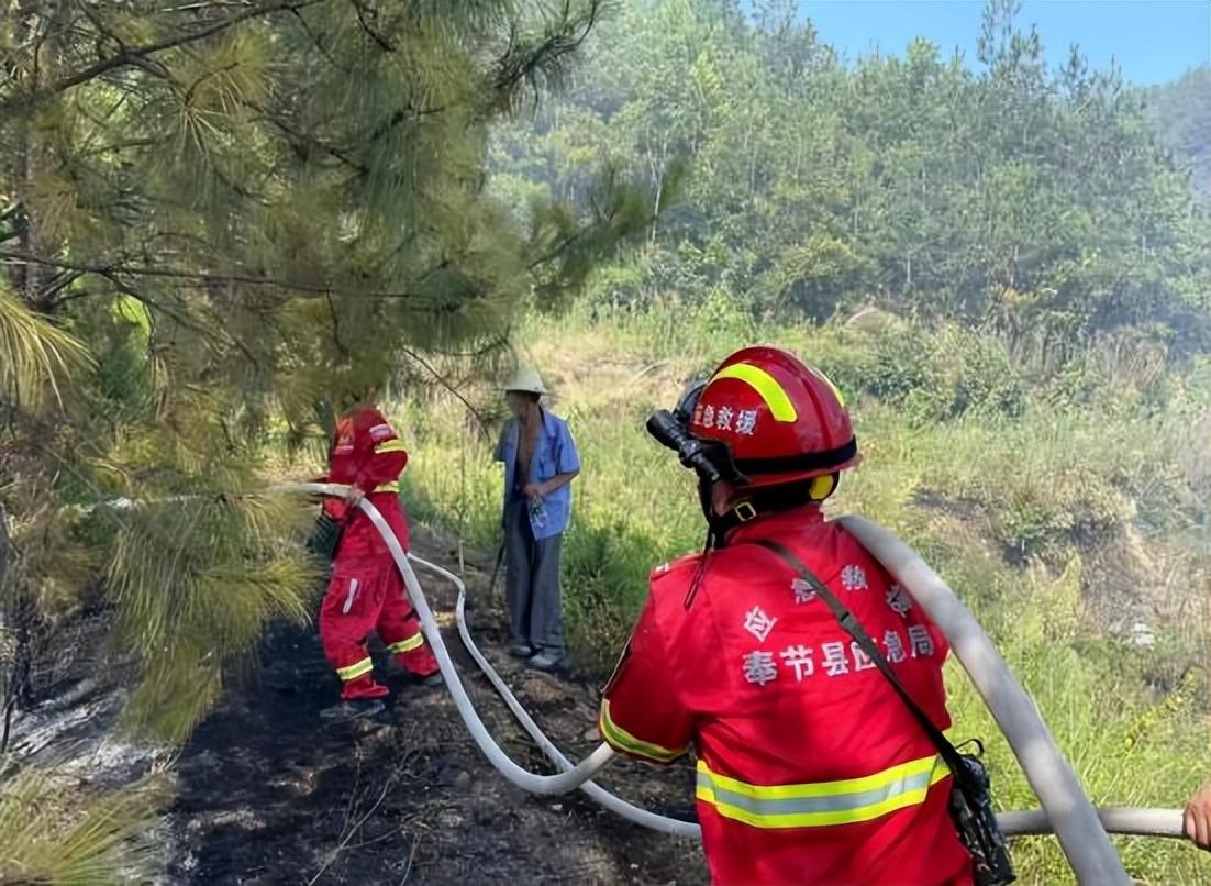 奉节县数据和政务服务局领导团队最新概述