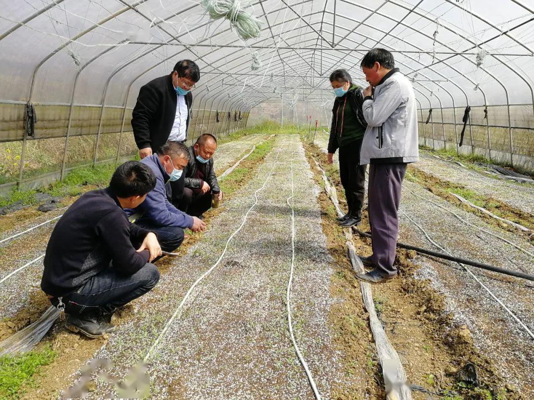 大方县农业农村局最新招聘信息详解