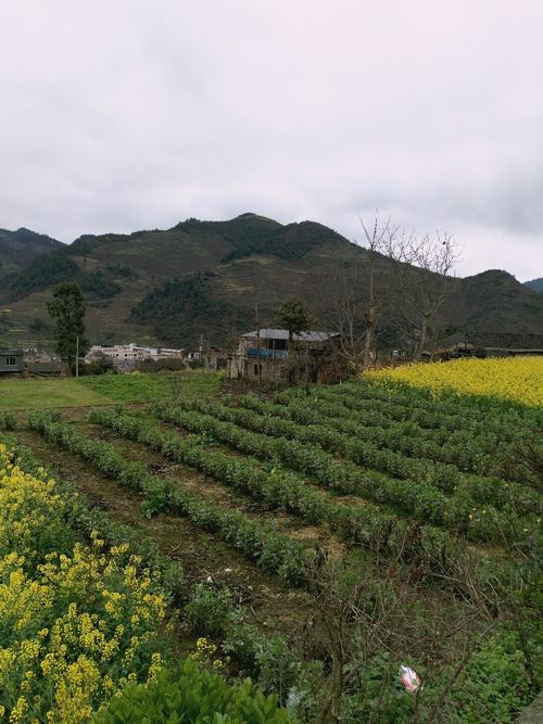 林古村天气预报更新通知