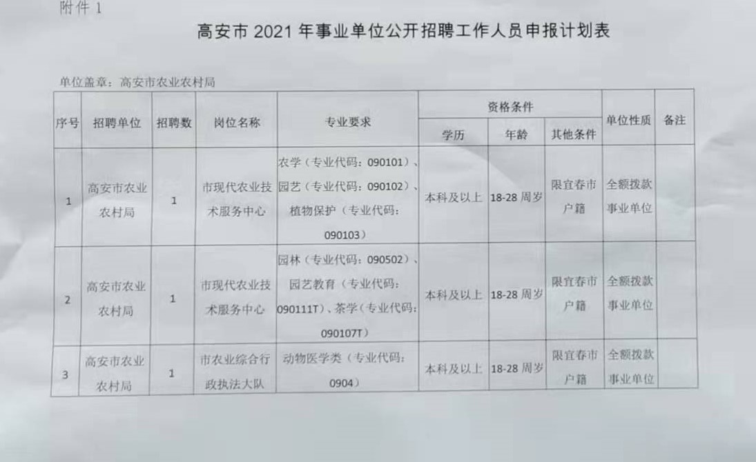 高安市司法局最新招聘启事